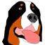 BERNESE